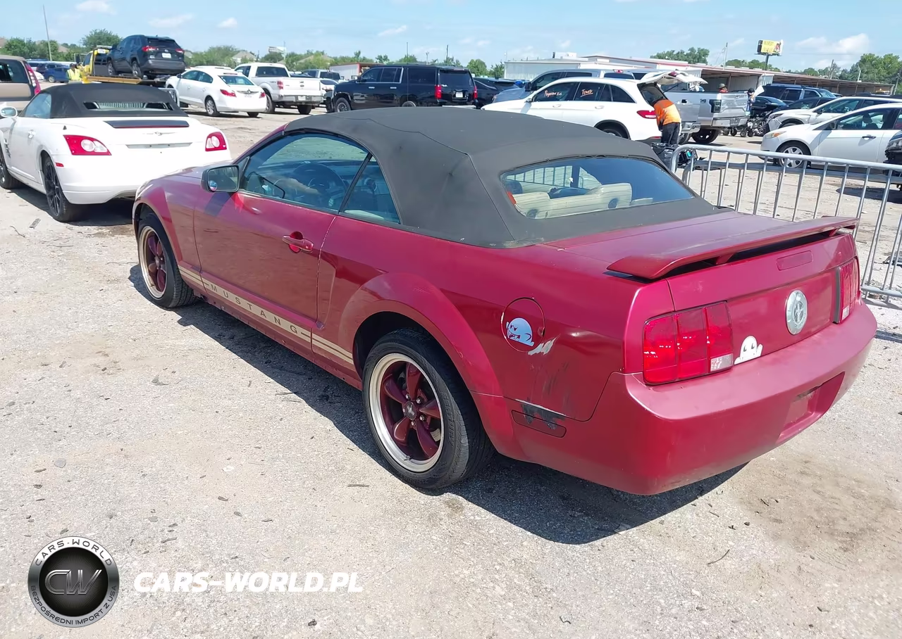 2005 Ford Mustang VIN:1ZVHT84N755249109 - 3