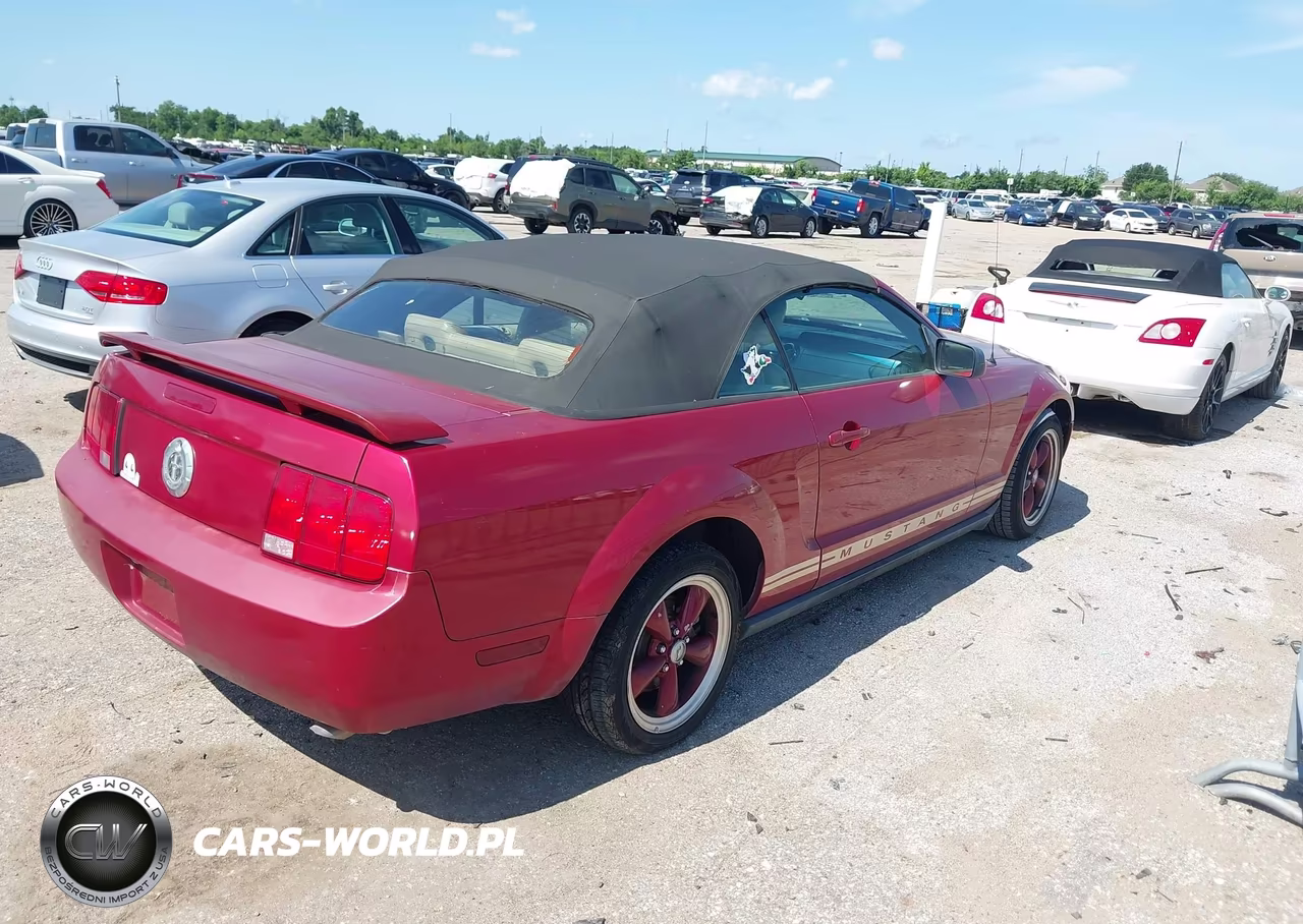 2005 Ford Mustang VIN:1ZVHT84N755249109 - 4