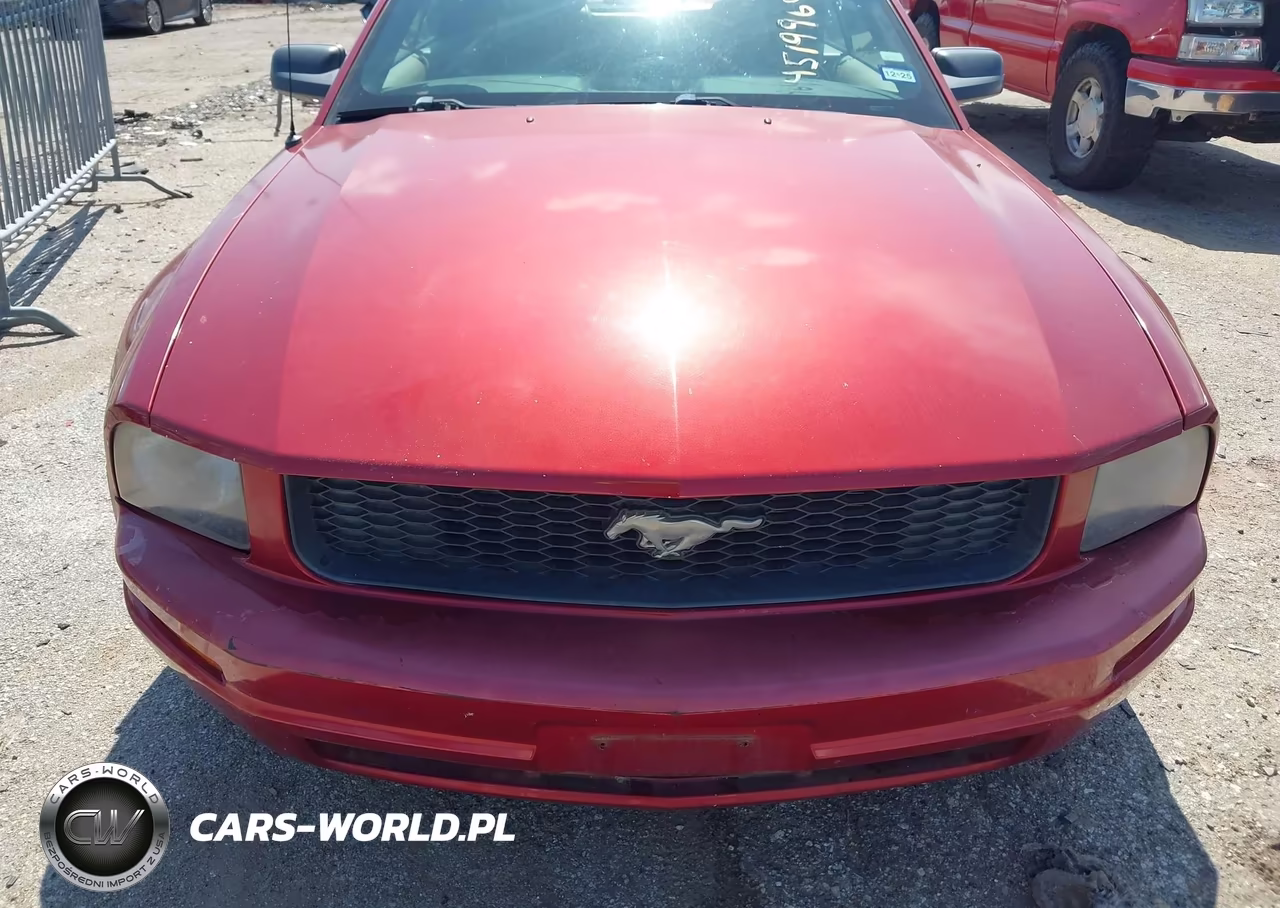 2005 Ford Mustang VIN:1ZVHT84N755249109 - 6
