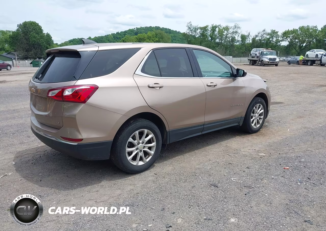 2019 Chevrolet Equinox Lt VIN:2GNAXKEV8K6160869 - 4