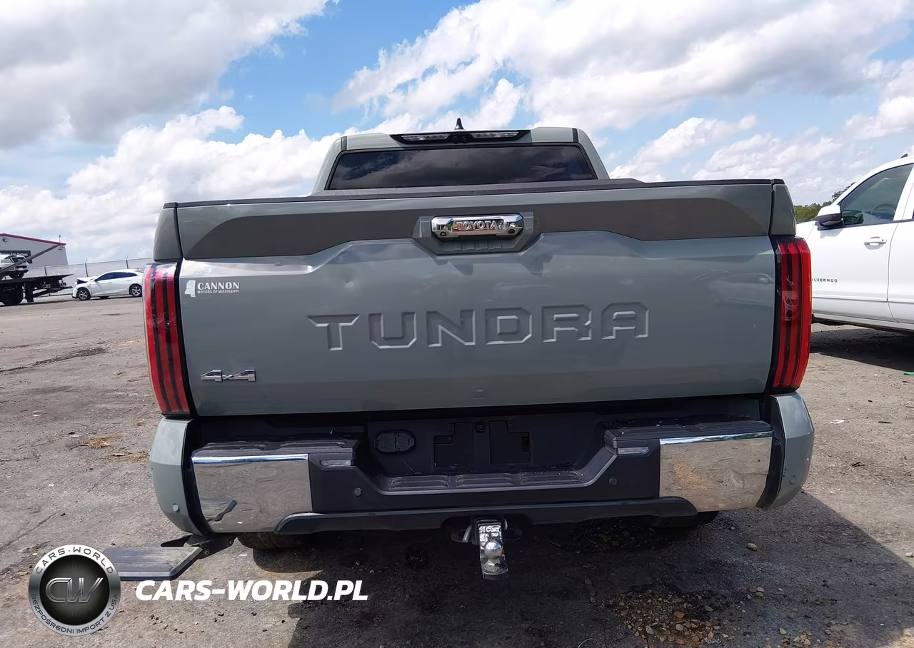 2024 Toyota Tundra 1794 Edition VIN:5TFMA5DB5RX135258 - 17