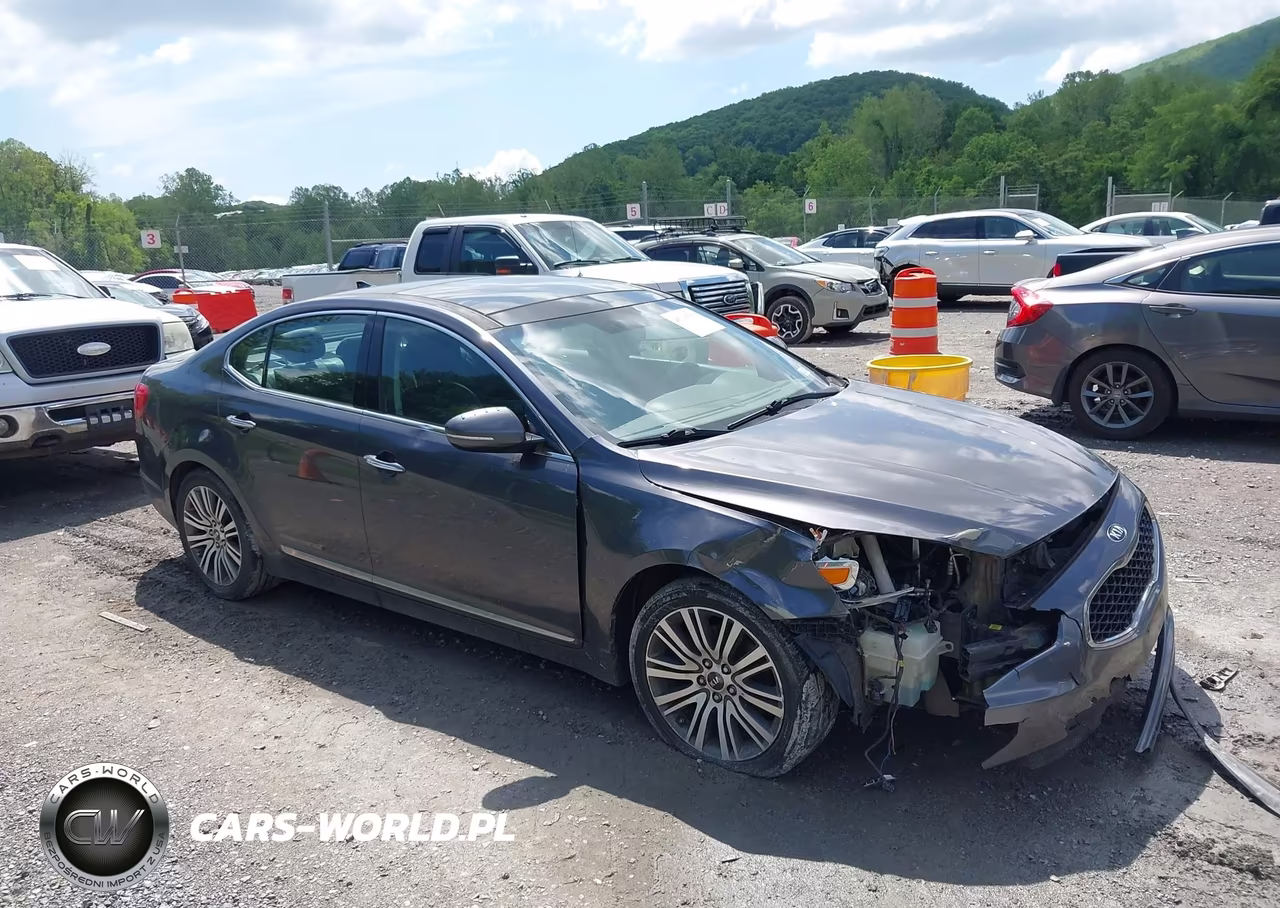 2014 Kia Cadenza Premium