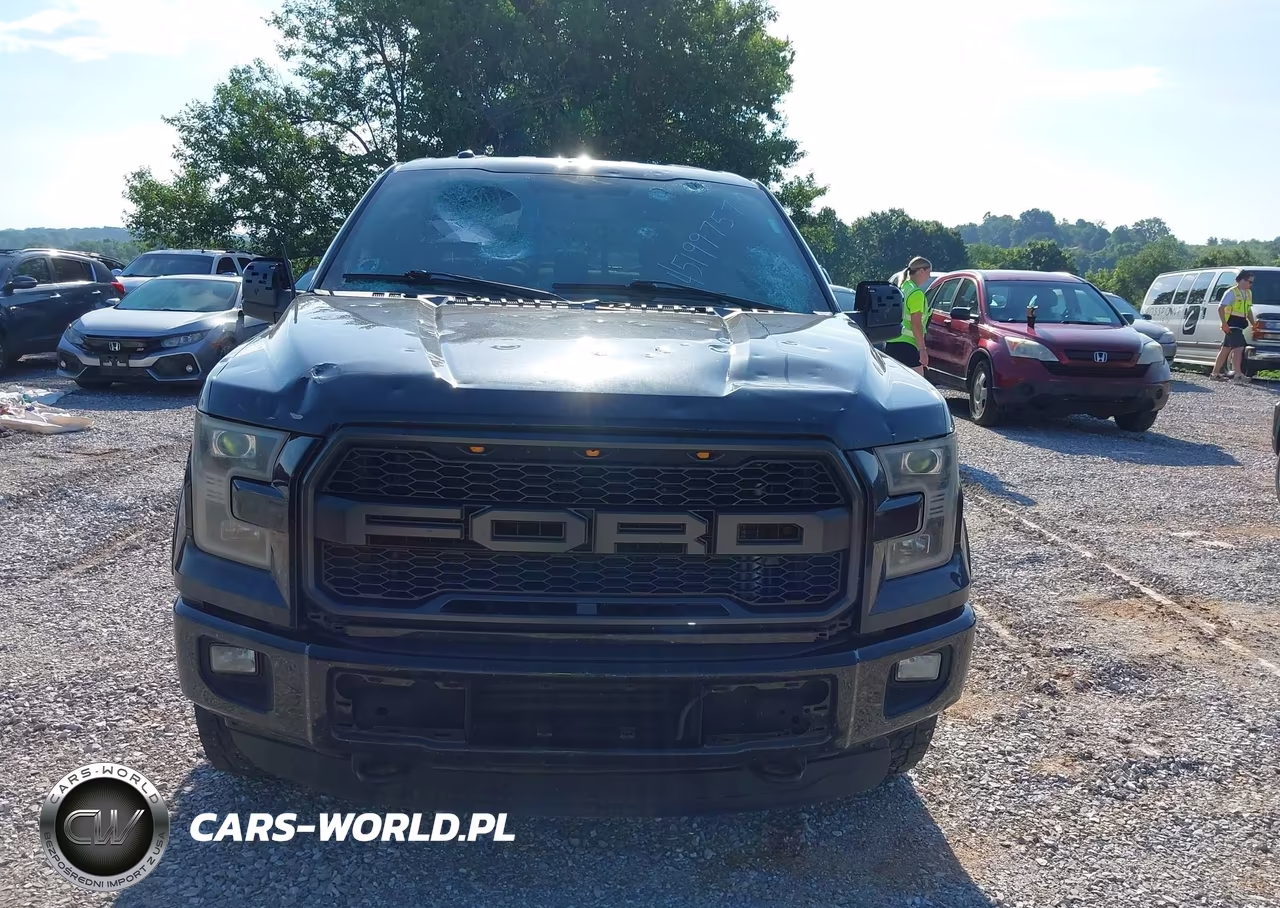2015 Ford F-150 Xlt VIN:1FTEW1EP2FKF13554 - 12