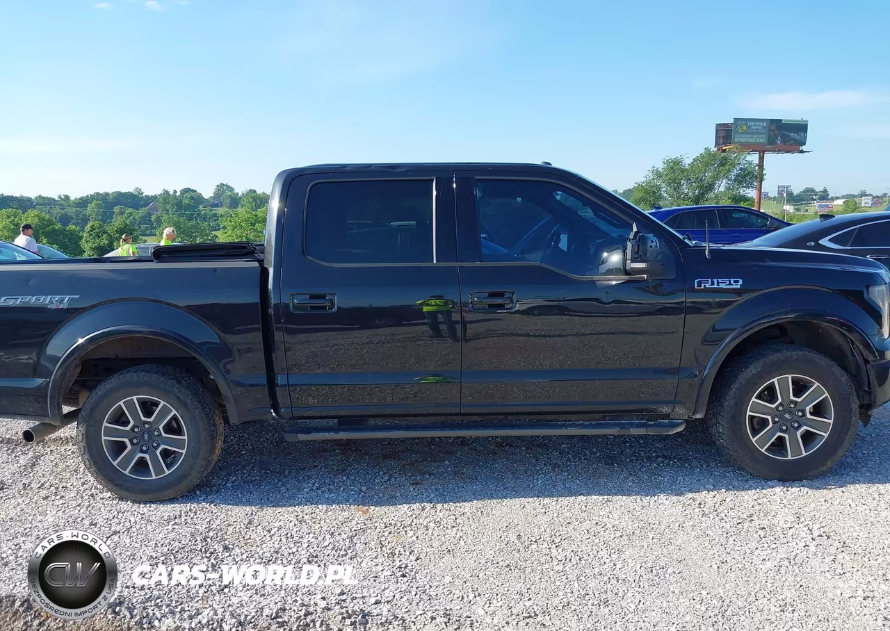 2015 Ford F-150 Xlt VIN:1FTEW1EP2FKF13554 - 13