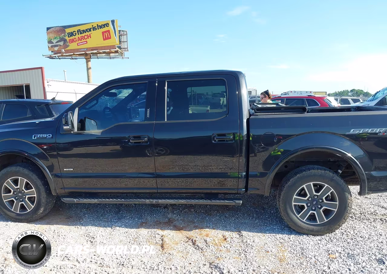 2015 Ford F-150 Xlt VIN:1FTEW1EP2FKF13554 - 14