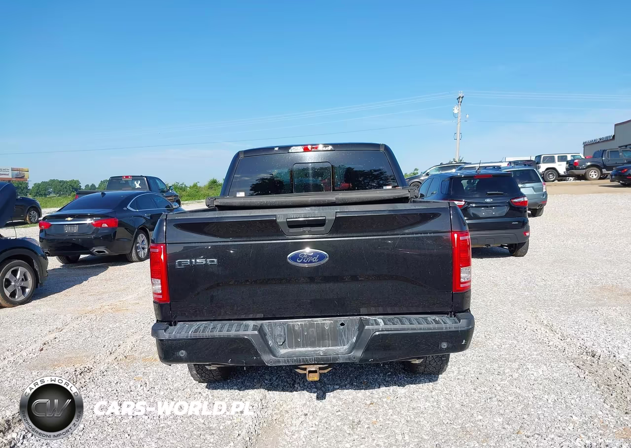 2015 Ford F-150 Xlt VIN:1FTEW1EP2FKF13554 - 16