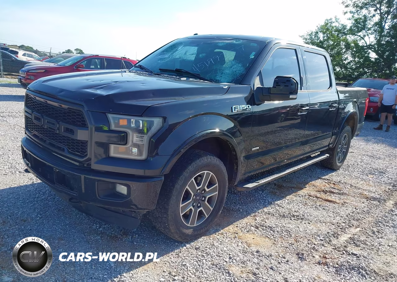 2015 Ford F-150 Xlt VIN:1FTEW1EP2FKF13554 - 2