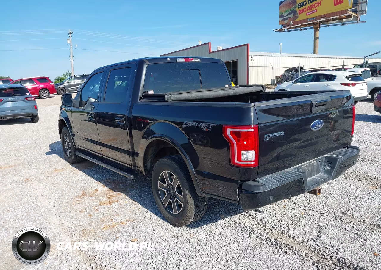 2015 Ford F-150 Xlt VIN:1FTEW1EP2FKF13554 - 3