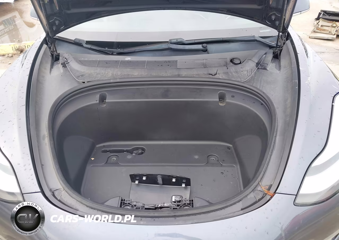 2020 Tesla Model 3 Standard Range Plus Rear-Wheel Drive-Standard Range Rear-Wheel Drive VIN:5YJ3E1EA8LF590296 - 10