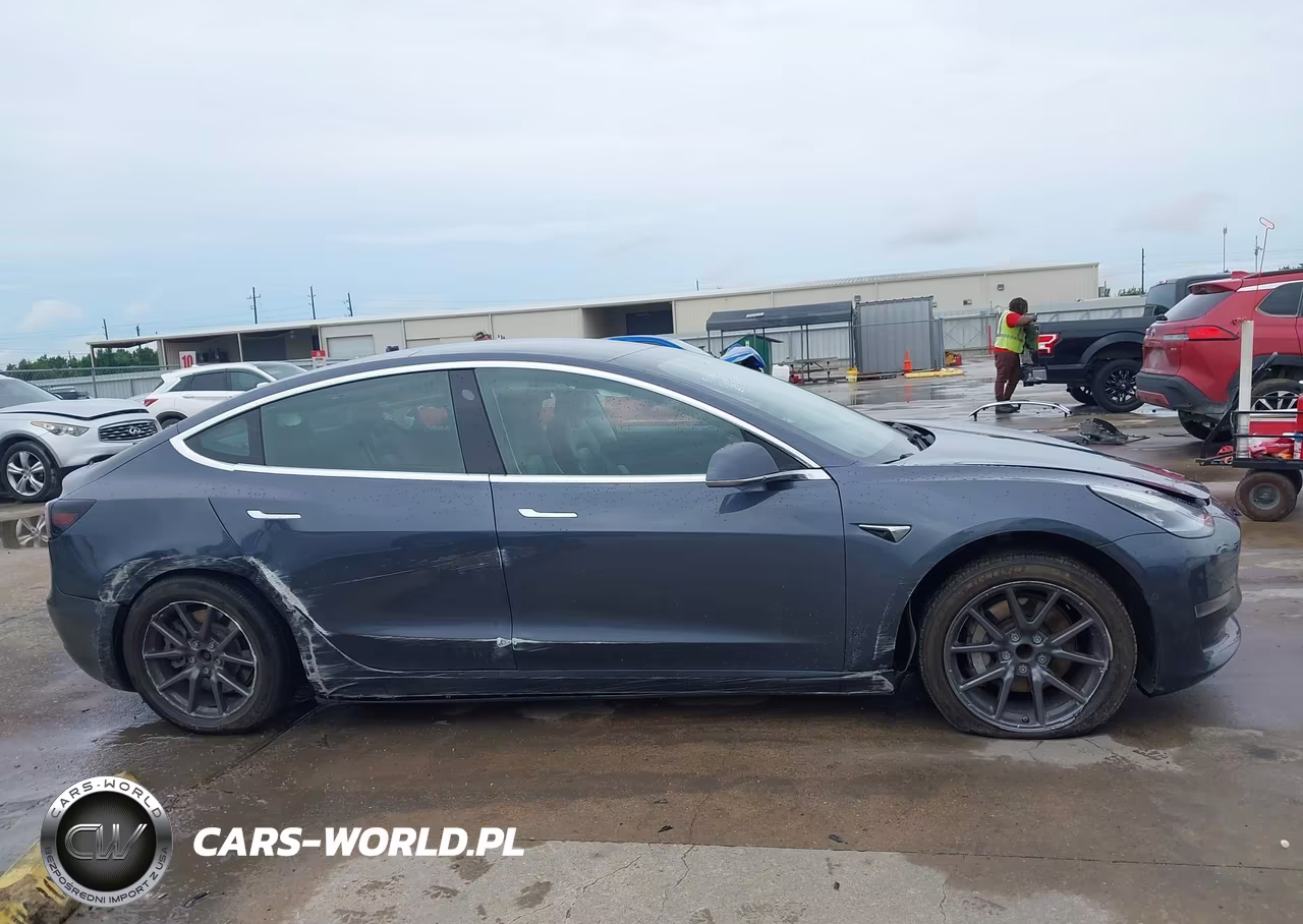 2020 Tesla Model 3 Standard Range Plus Rear-Wheel Drive-Standard Range Rear-Wheel Drive VIN:5YJ3E1EA8LF590296 - 13