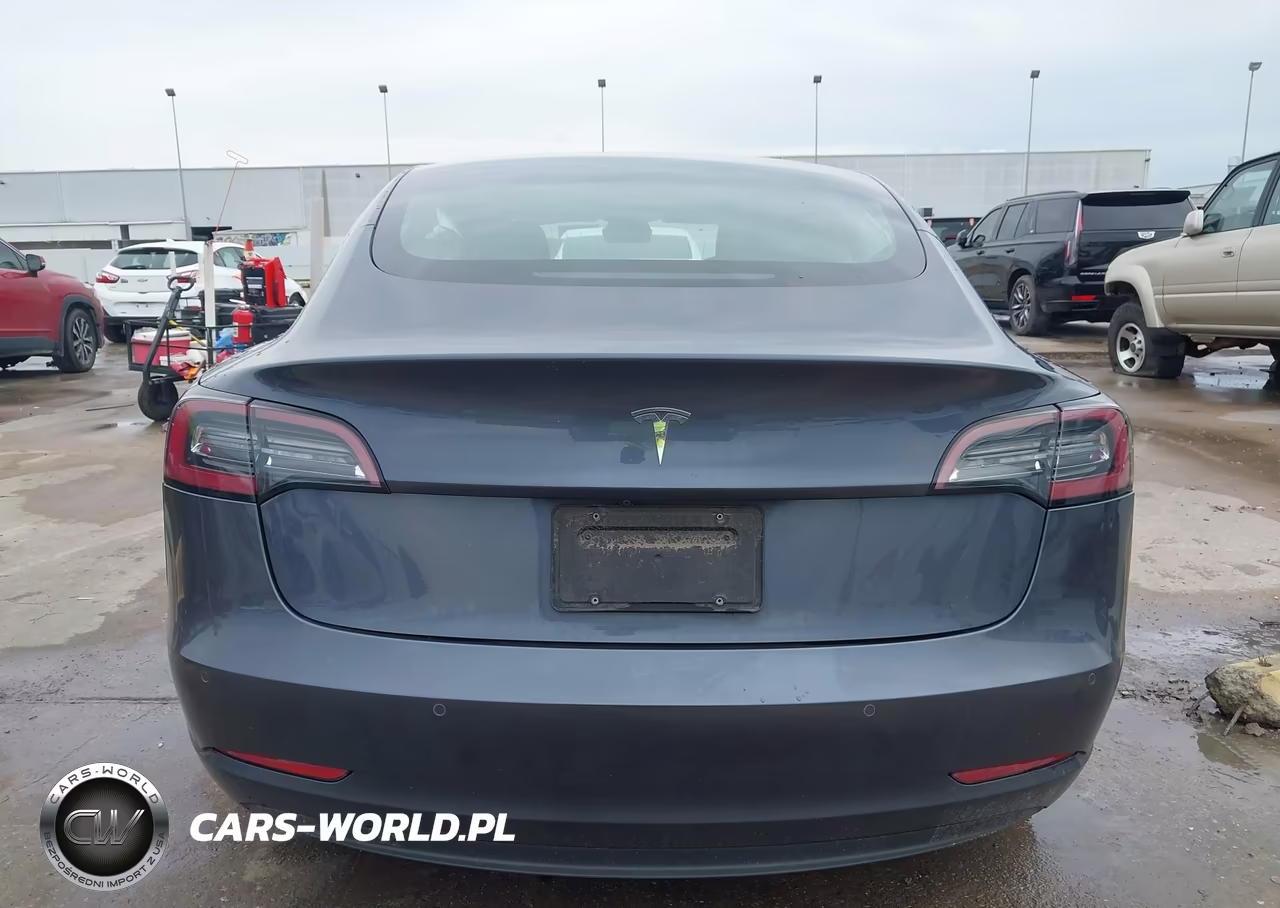 2020 Tesla Model 3 Standard Range Plus Rear-Wheel Drive-Standard Range Rear-Wheel Drive VIN:5YJ3E1EA8LF590296 - 16