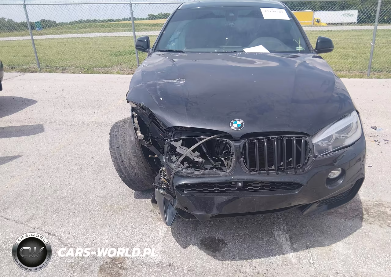 2017 BMW X6 xDrive35I VIN:5UXKU2C3XH0X46979 - 12