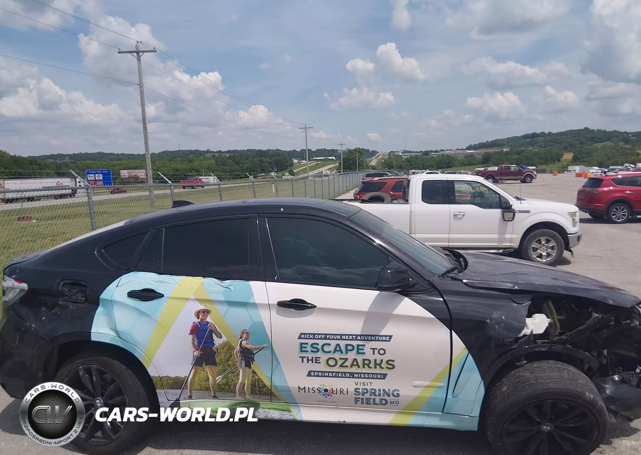 2017 BMW X6 xDrive35I VIN:5UXKU2C3XH0X46979 - 13