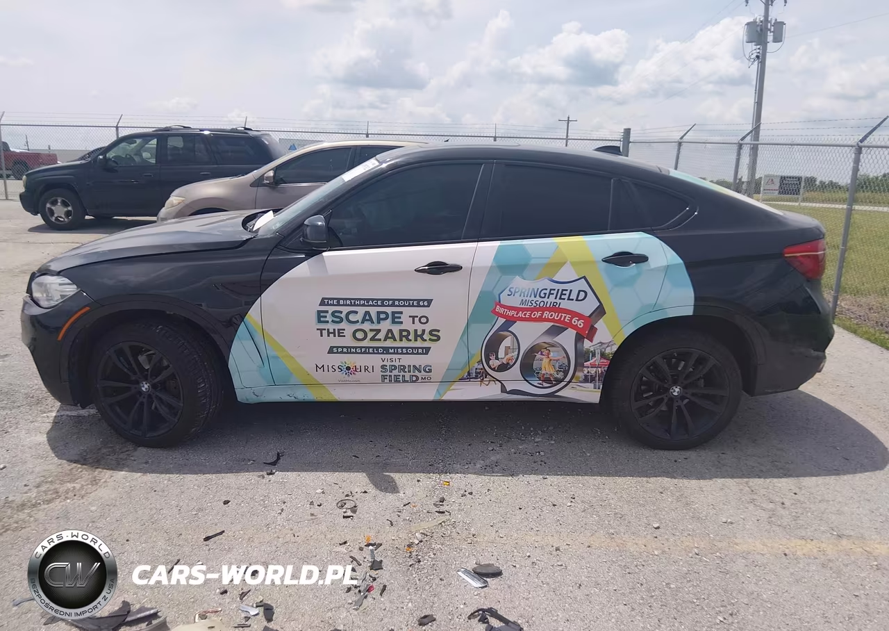 2017 BMW X6 xDrive35I VIN:5UXKU2C3XH0X46979 - 14