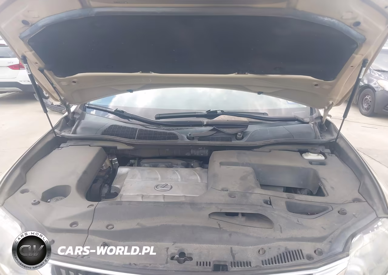 2010 Lexus Rx 350 VIN:2T2ZK1BA5AC013455 - 10