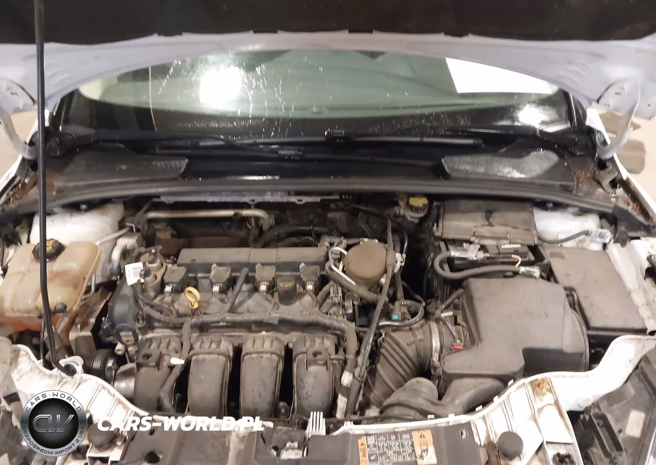 2016 Ford Focus S VIN:1FADP3E2XGL264575 - 10