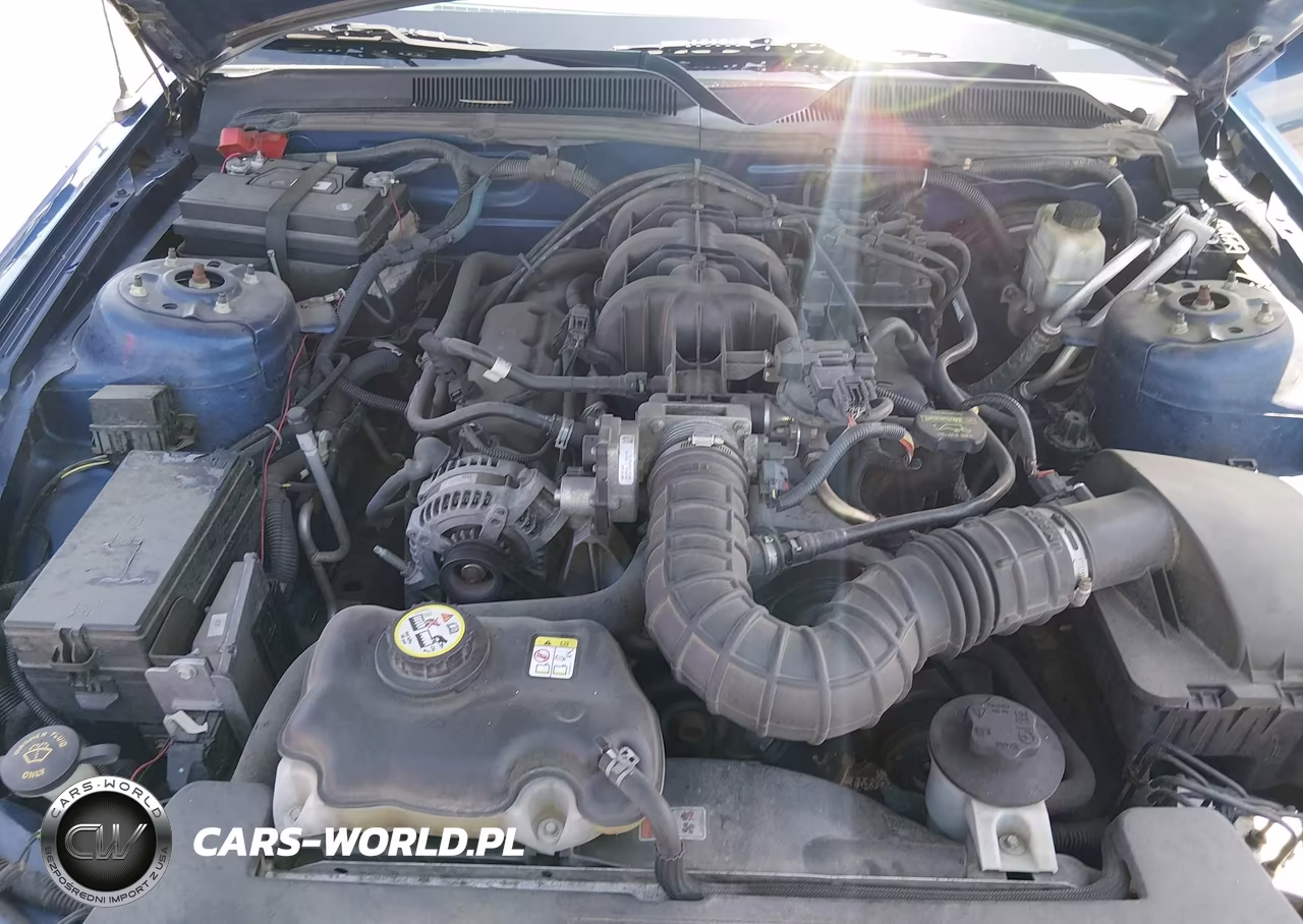 2009 Ford Mustang V6-V6 Premium VIN:1ZVHT80NX95141904 - 10