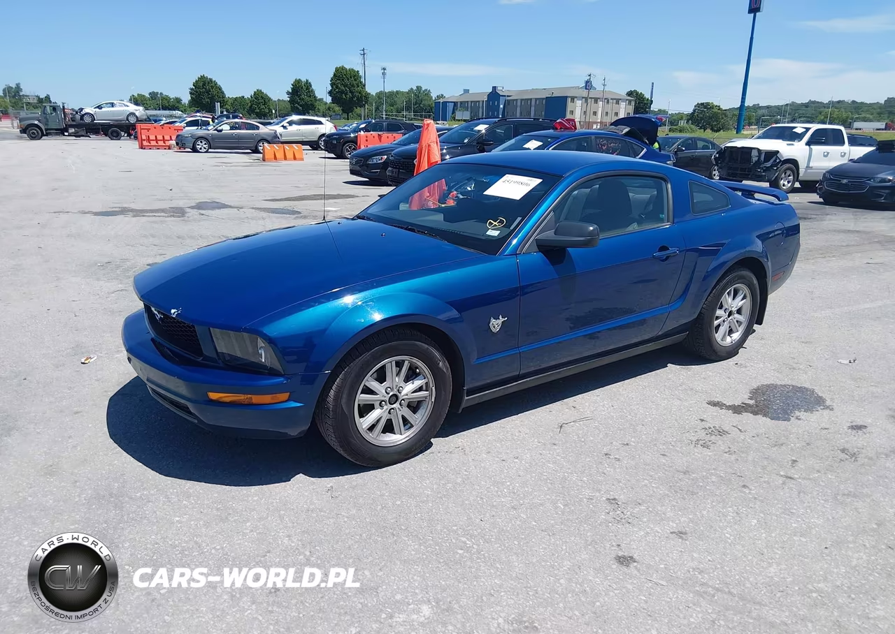 2009 Ford Mustang V6-V6 Premium VIN:1ZVHT80NX95141904 - 2
