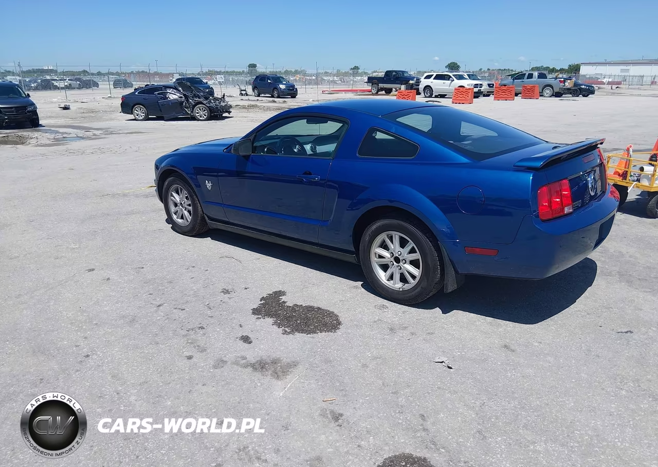 2009 Ford Mustang V6-V6 Premium VIN:1ZVHT80NX95141904 - 3