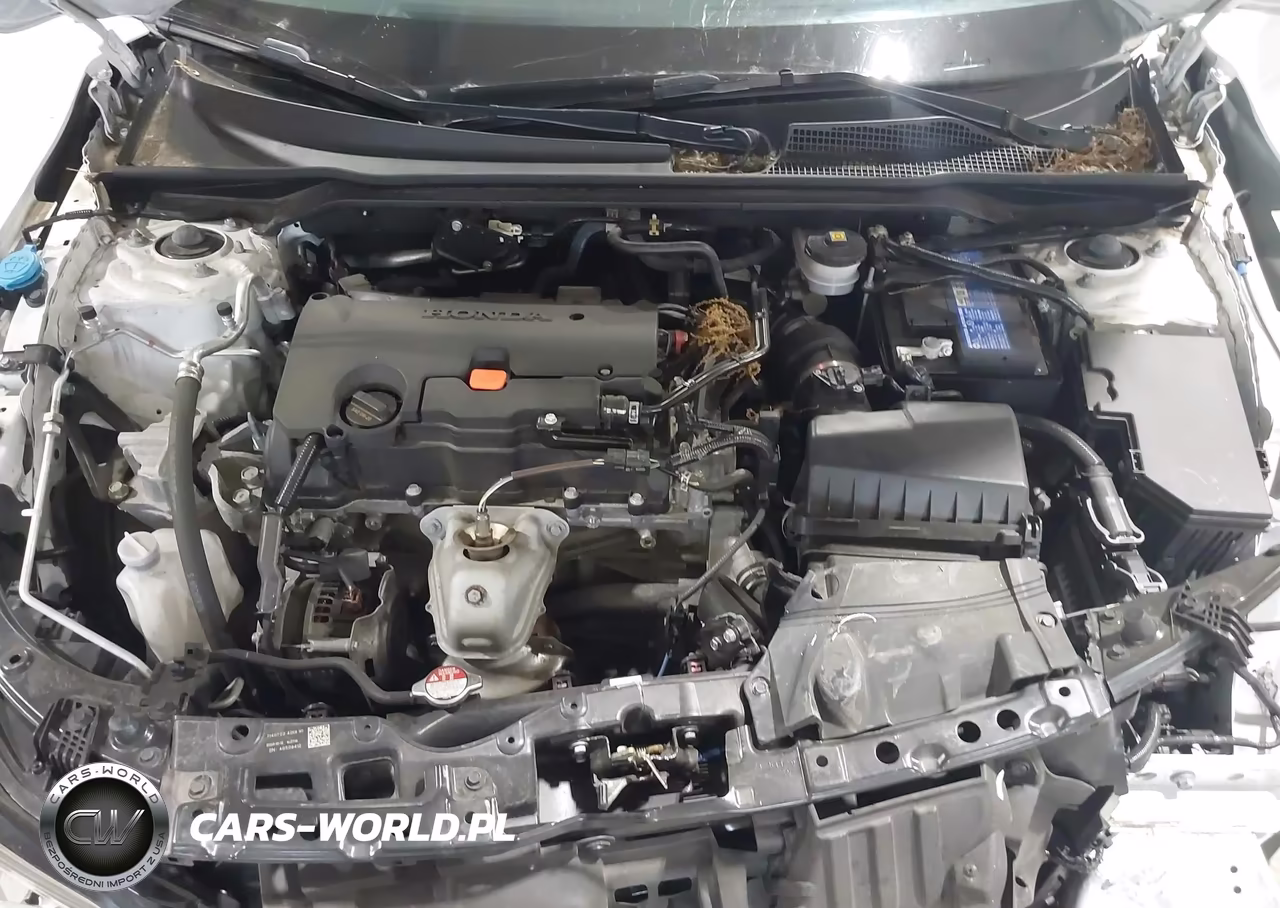 2024 Honda Civic Lx VIN:19XFL2H5XRE008396 - 10