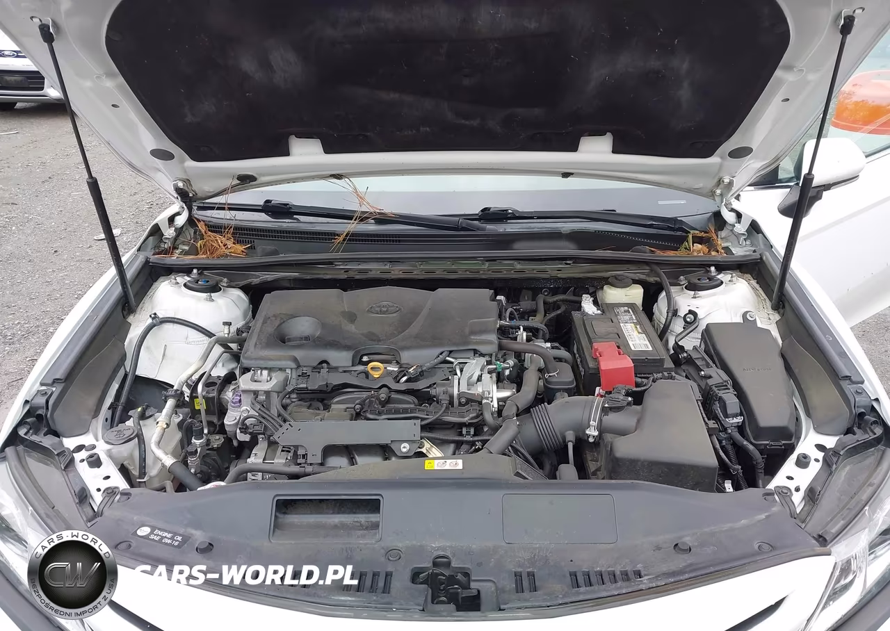 2018 Toyota Camry Se VIN:4T1B11HK2JU105954 - 10