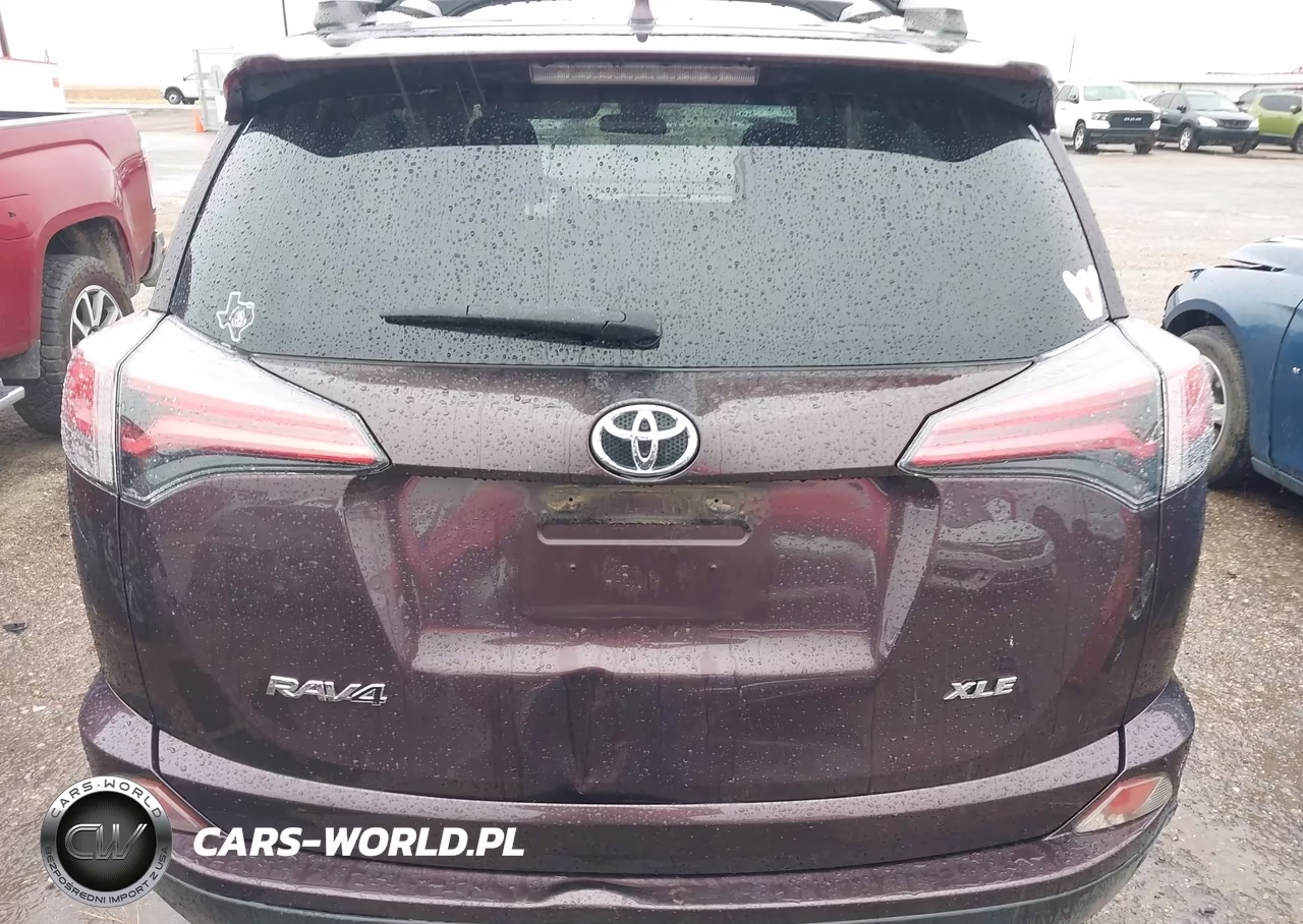 2016 Toyota Rav4 Xle VIN:2T3WFREV7GW245403 - 16
