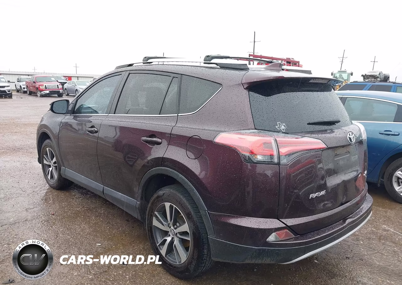 2016 Toyota Rav4 Xle VIN:2T3WFREV7GW245403 - 3