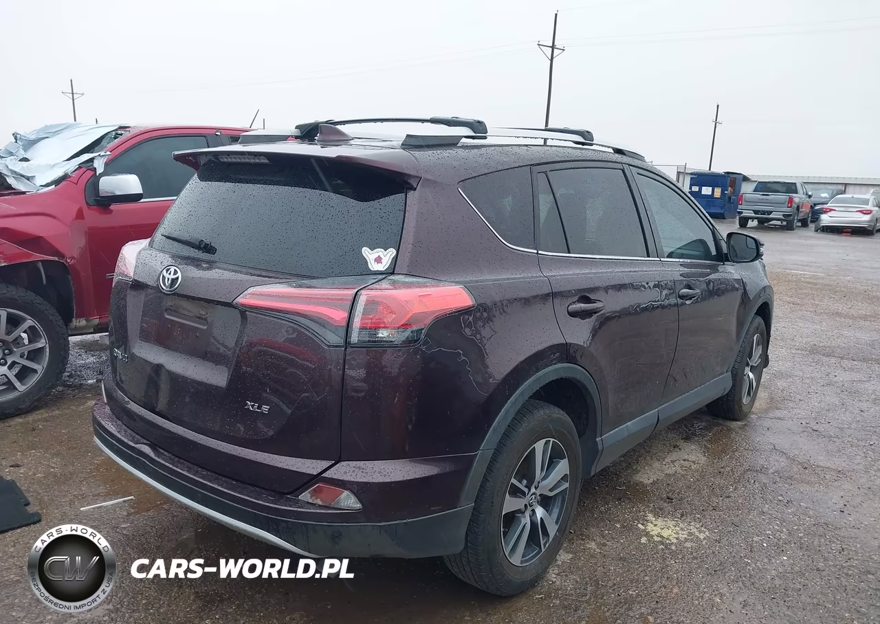 2016 Toyota Rav4 Xle VIN:2T3WFREV7GW245403 - 4