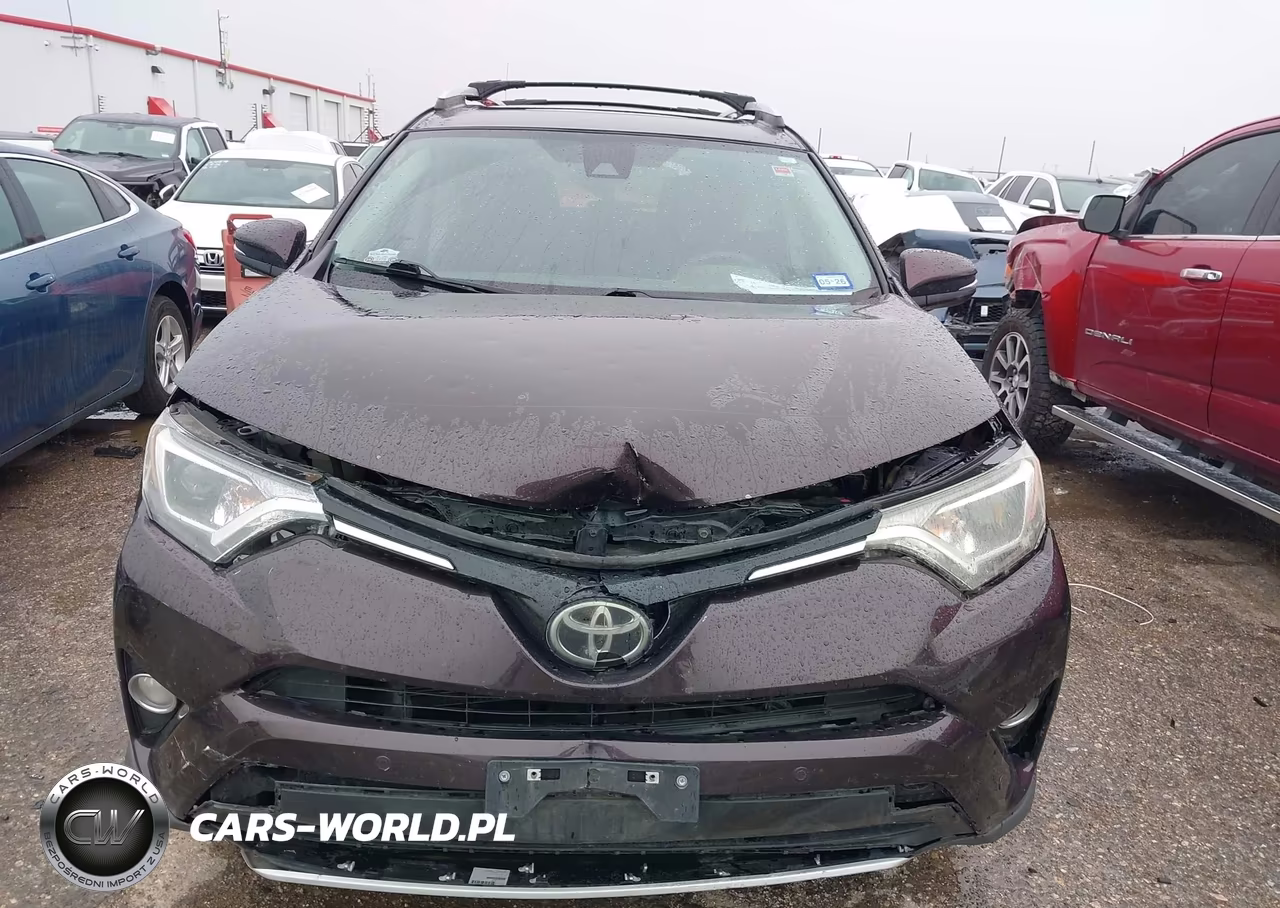 2016 Toyota Rav4 Xle VIN:2T3WFREV7GW245403 - 6