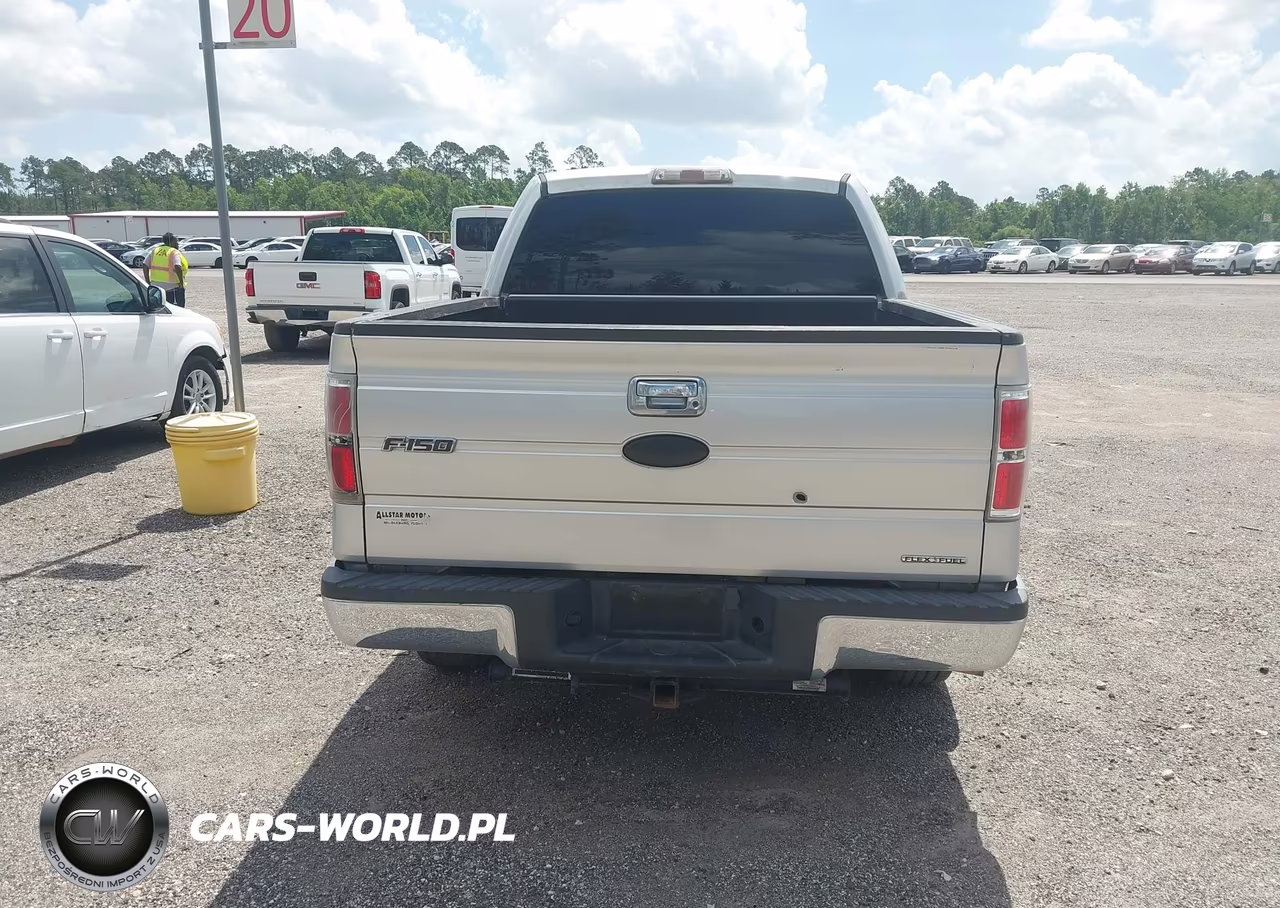 2012 Ford F-150 Xlt VIN:1FTFW1CF3CFA15009 - 16