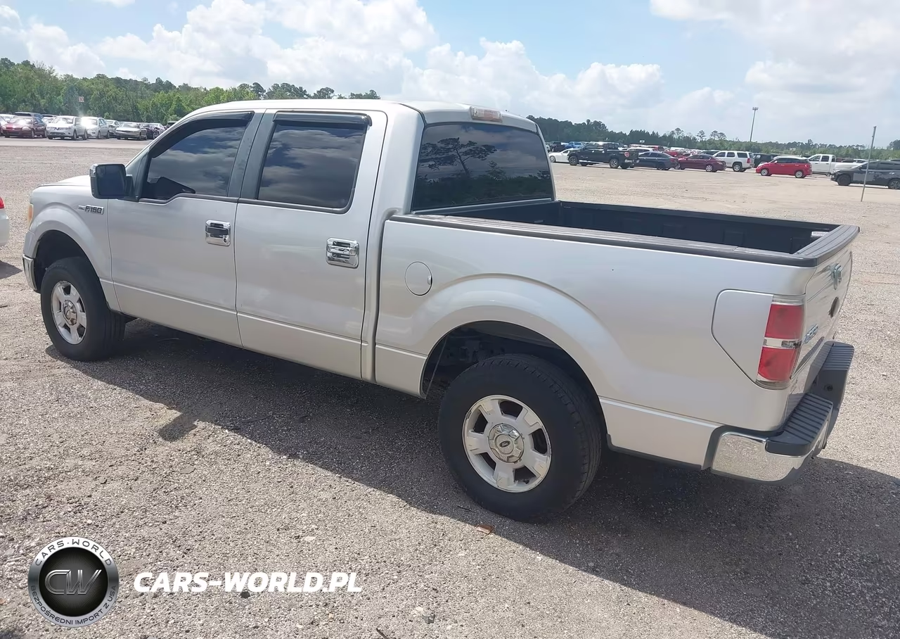 2012 Ford F-150 Xlt VIN:1FTFW1CF3CFA15009 - 3