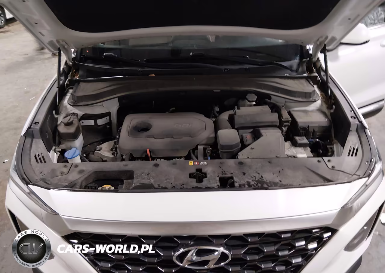 2019 Hyundai Santa Fe Sel Plus VIN:5NMS3CAD6KH052268 - 10