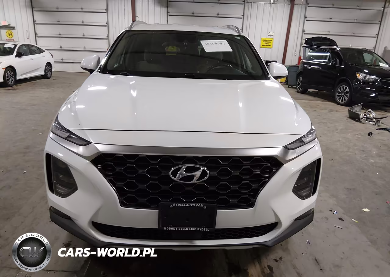 2019 Hyundai Santa Fe Sel Plus VIN:5NMS3CAD6KH052268 - 12