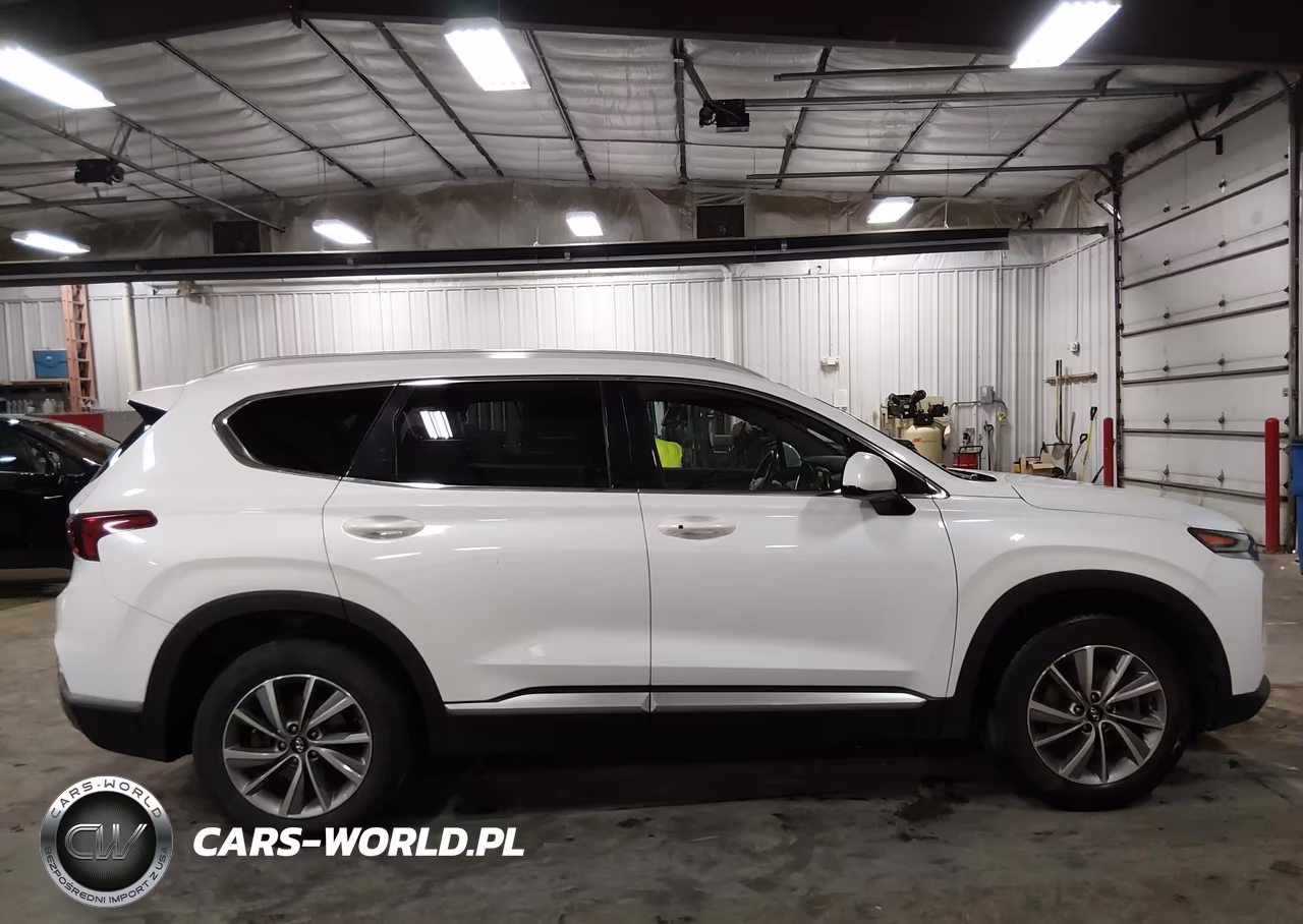 2019 Hyundai Santa Fe Sel Plus VIN:5NMS3CAD6KH052268 - 13