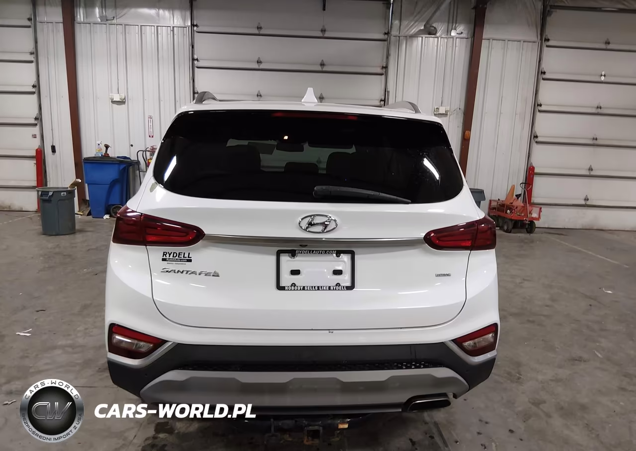 2019 Hyundai Santa Fe Sel Plus VIN:5NMS3CAD6KH052268 - 16