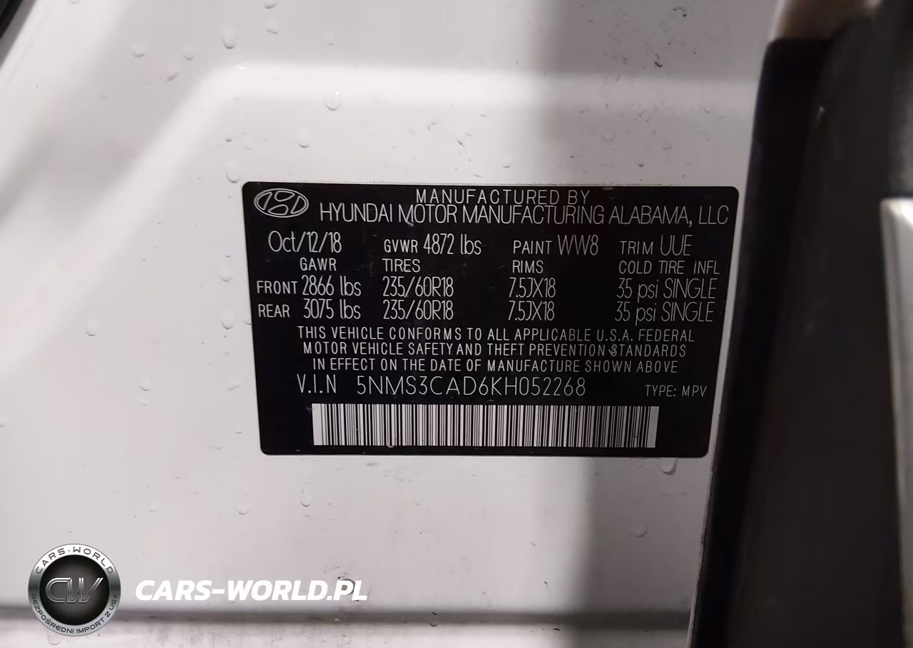2019 Hyundai Santa Fe Sel Plus VIN:5NMS3CAD6KH052268 - 9