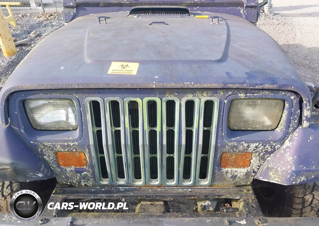 1993 Jeep Wrangler - Yj S VIN:1J4FY19P1PP220851 - 10