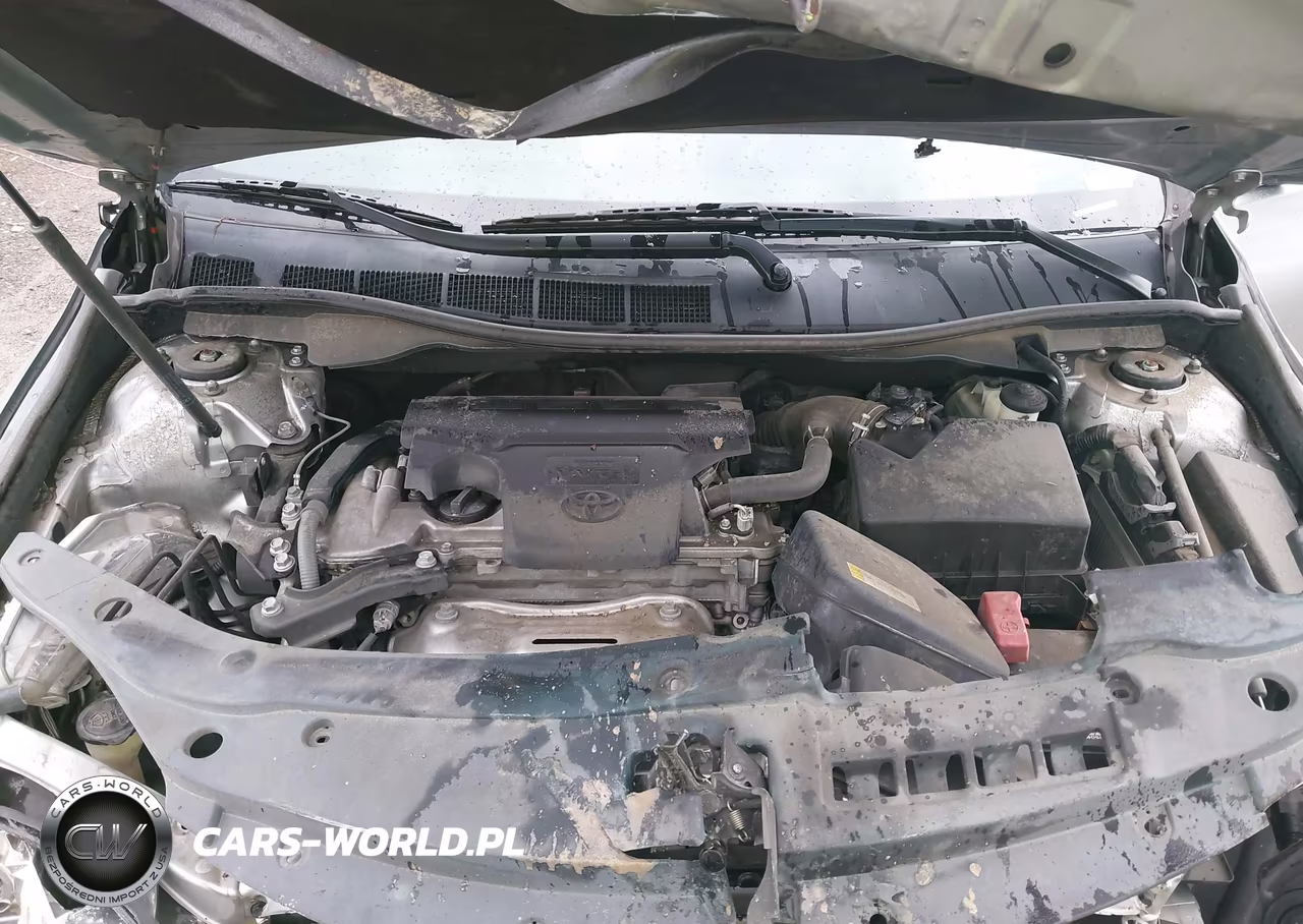 2016 Toyota Camry Se VIN:4T1BF1FK2GU194373 - 10