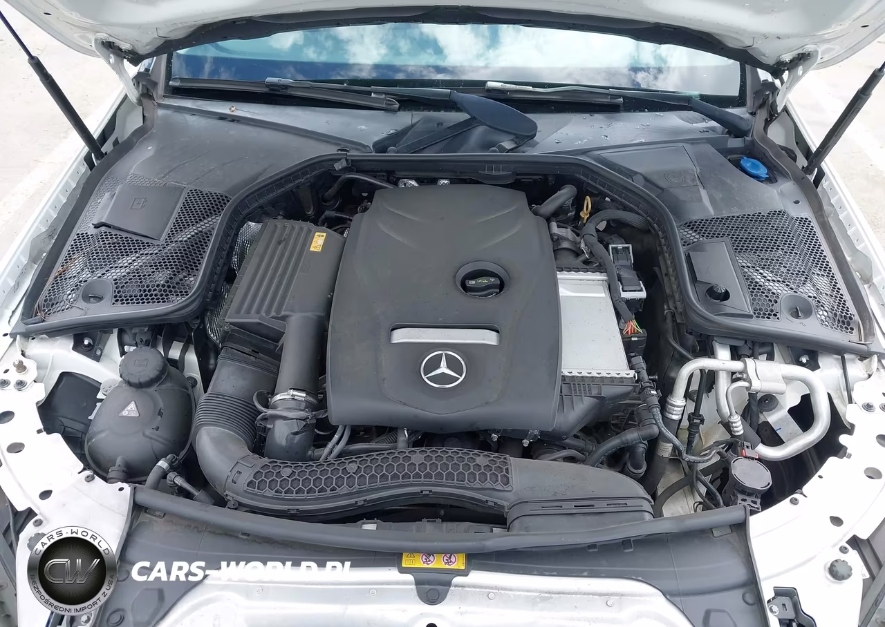 2017 Mercedes-Benz C 300 VIN:55SWF4JB2HU233423 - 10