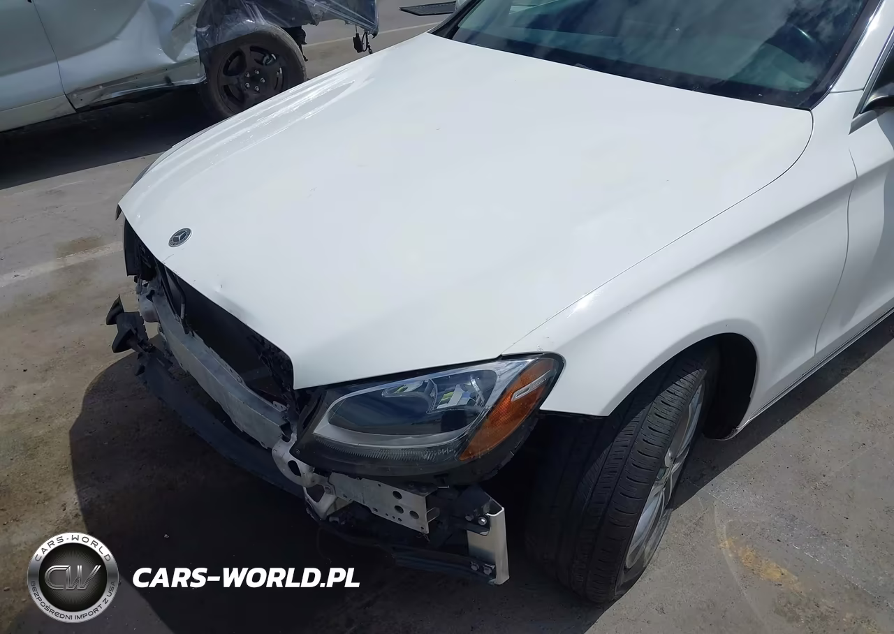 2017 Mercedes-Benz C 300 VIN:55SWF4JB2HU233423 - 6