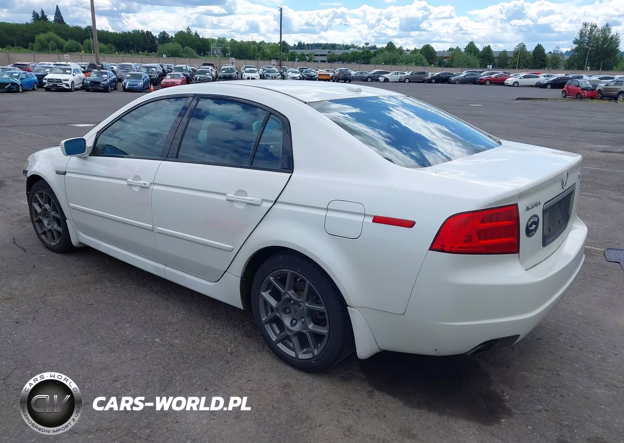 2006 Acura Tl VIN:19UUA66266A016041 - 3