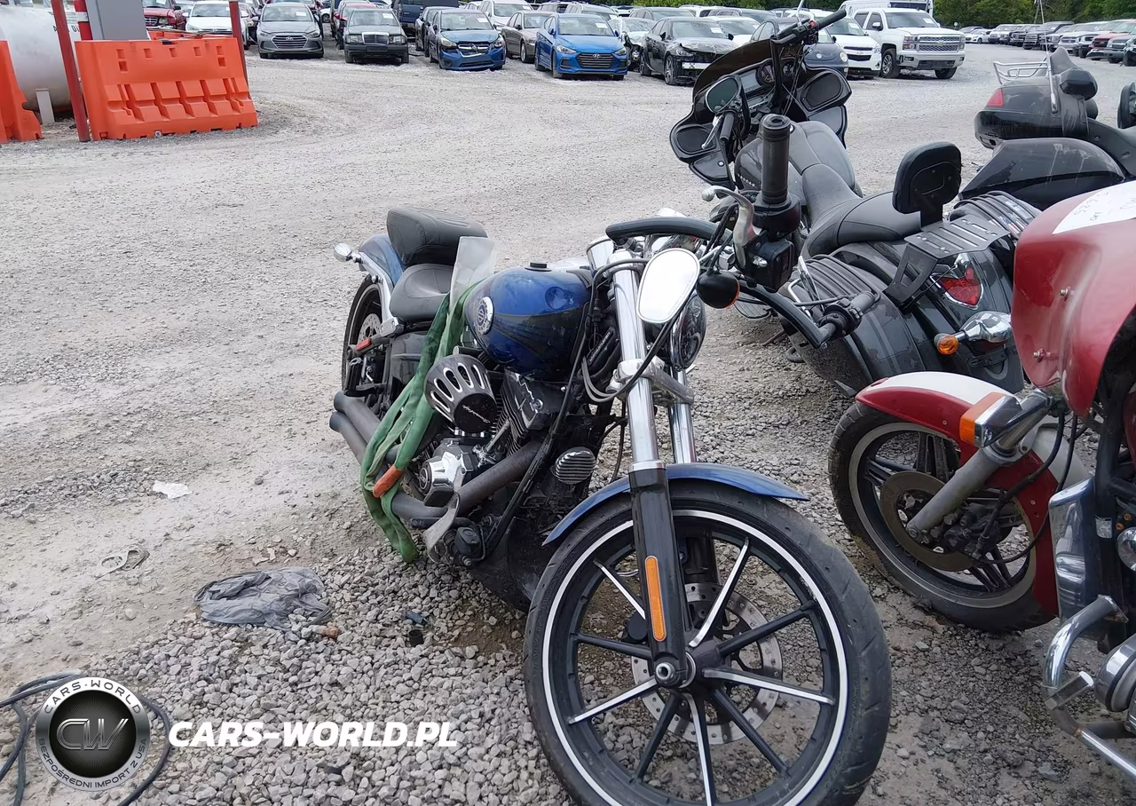 2015 Harley-Davidson Fxsb Breakout