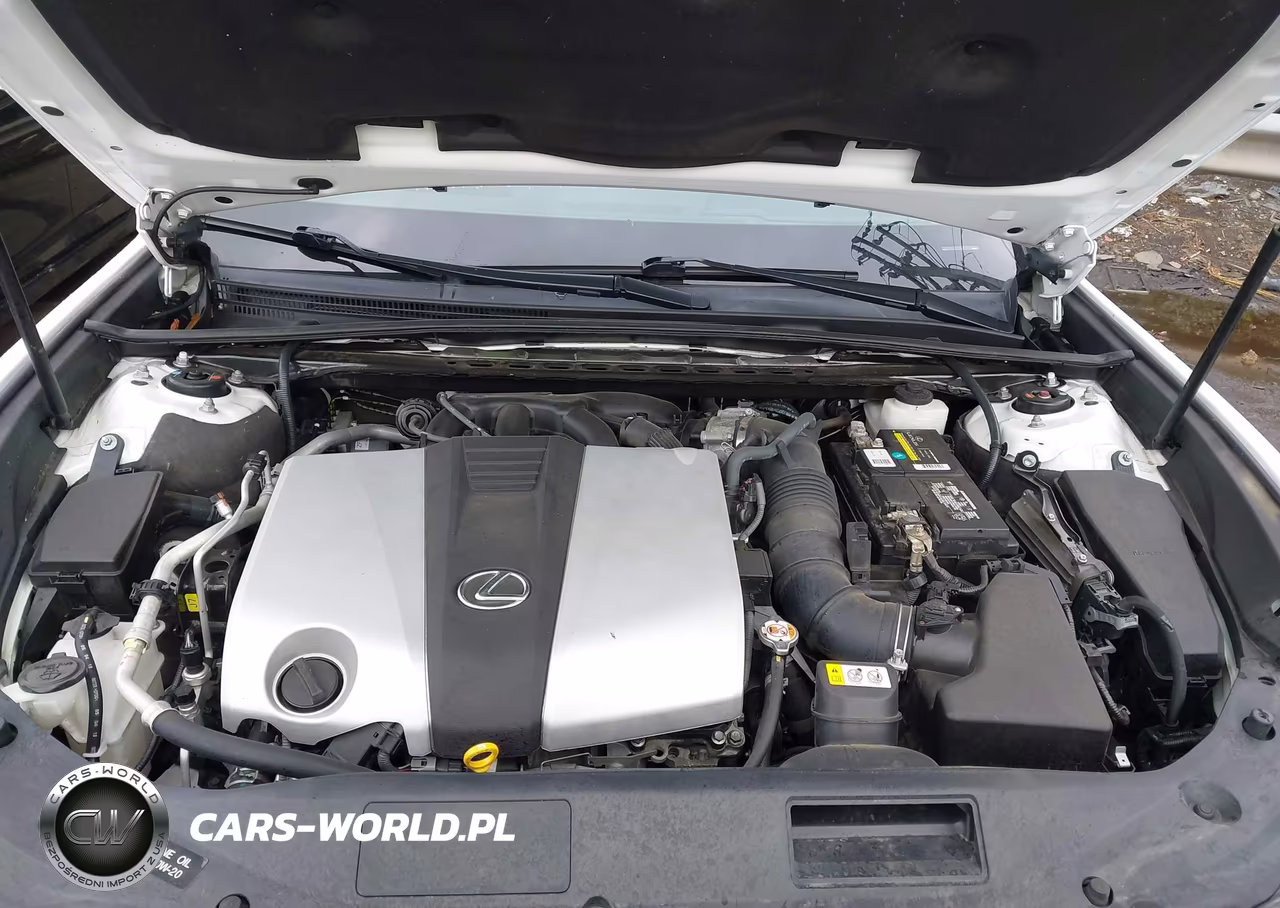2019 Lexus Es 350 F Sport VIN:58ABZ1B11KU005265 - 10