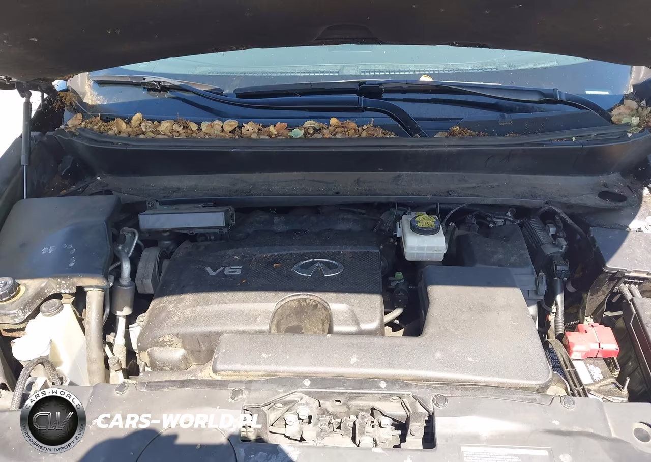 2017 Infiniti Qx60 VIN:5N1DL0MM9HC548249 - 10