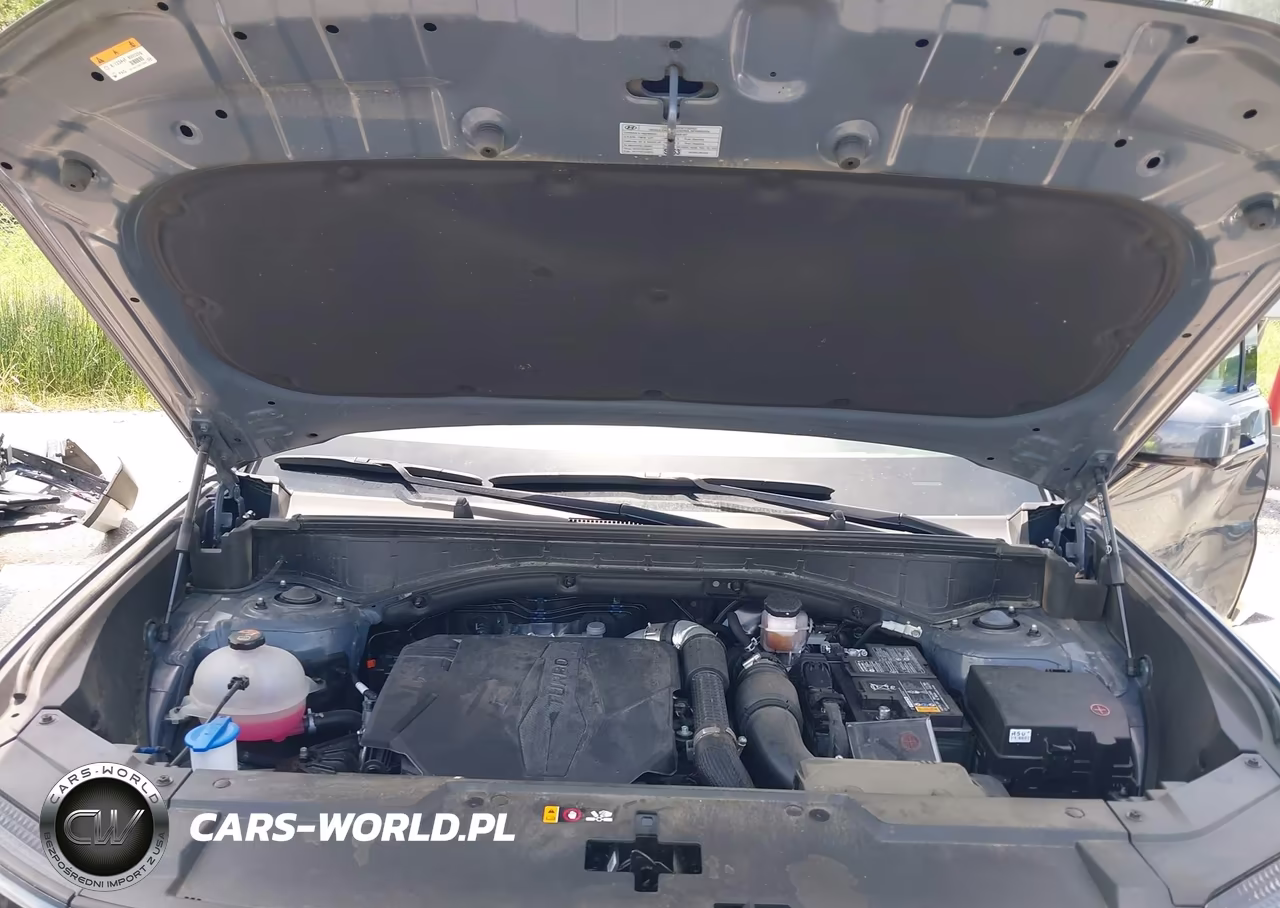 2025 Hyundai Santa Fe Calligraphy VIN:5NMP54GL4SH117090 - 10