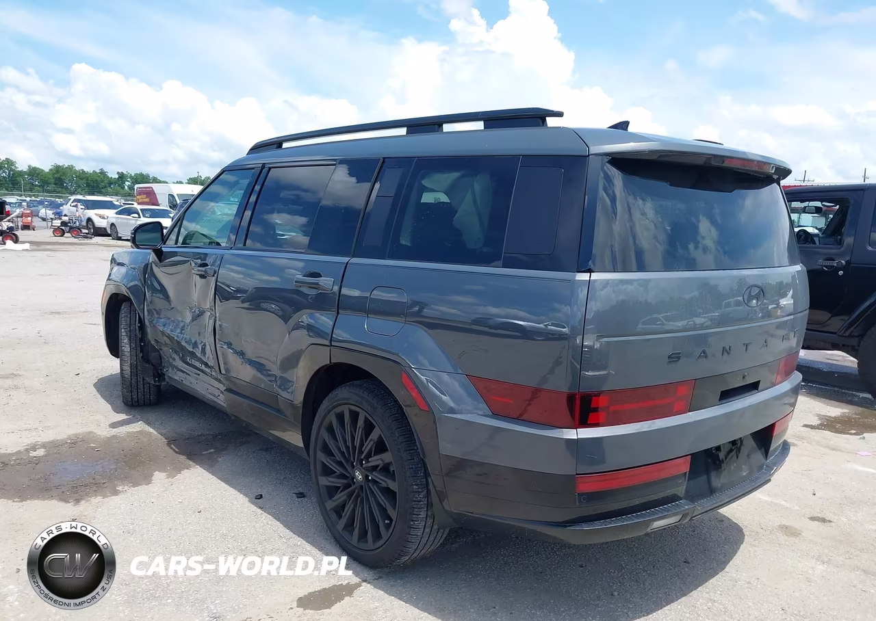 2025 Hyundai Santa Fe Calligraphy VIN:5NMP54GL4SH117090 - 3