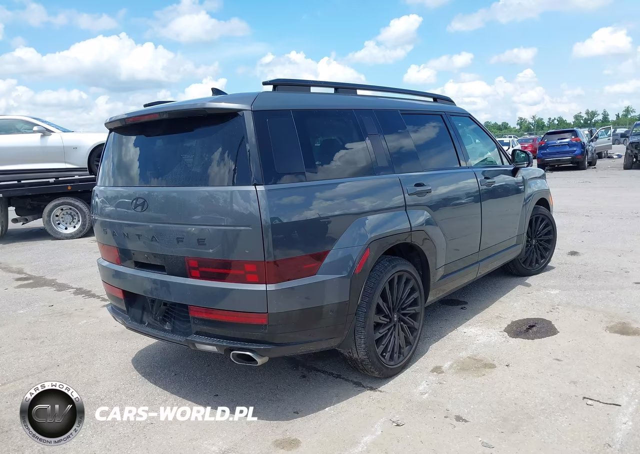 2025 Hyundai Santa Fe Calligraphy VIN:5NMP54GL4SH117090 - 4