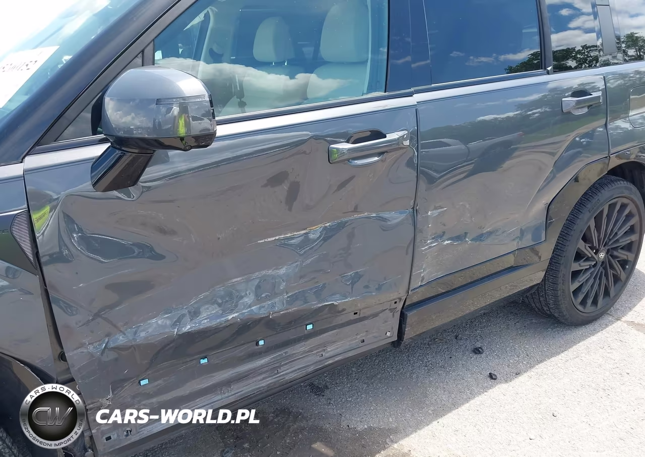 2025 Hyundai Santa Fe Calligraphy VIN:5NMP54GL4SH117090 - 6