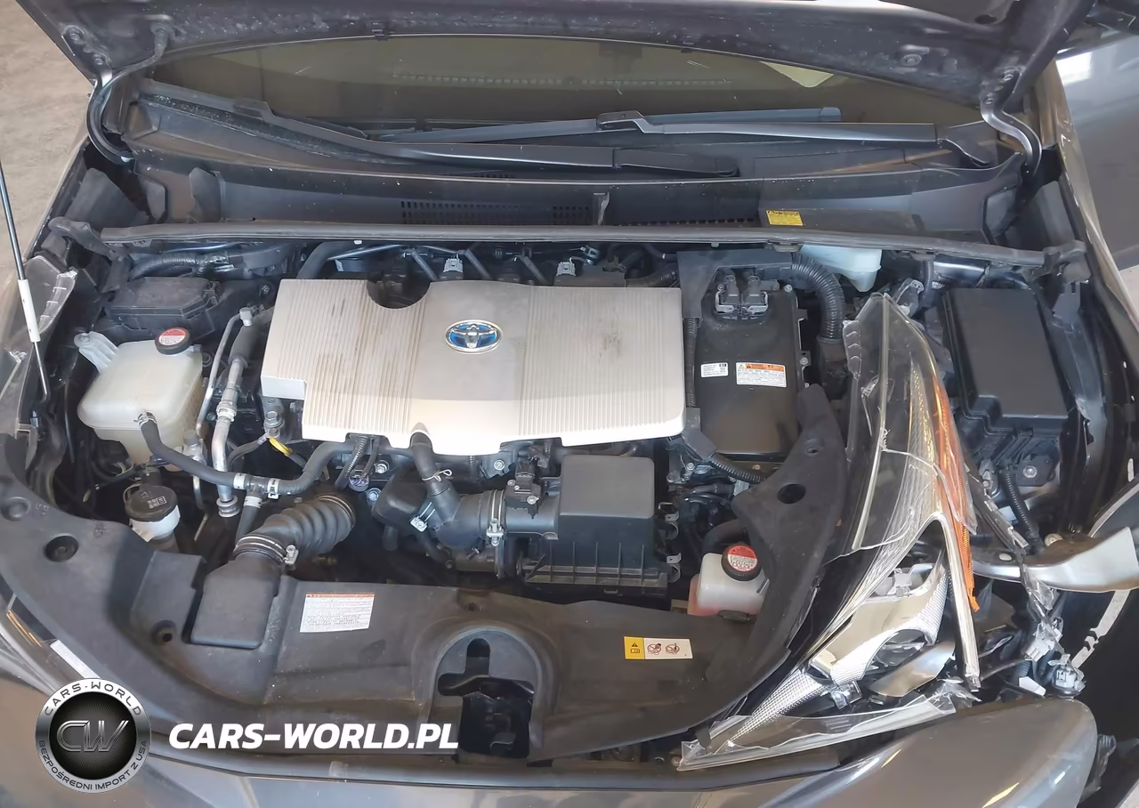 2016 Toyota Prius Three VIN:JTDKARFU3G3516656 - 10