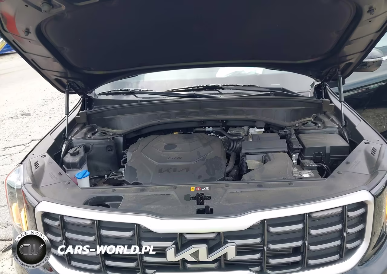 2025 Kia Telluride S VIN:5XYP64GC9SG631010 - 10